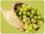 Cornucopia - grapes